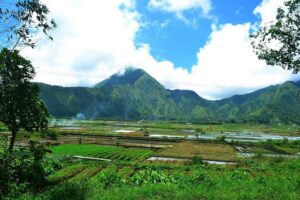 Desa: Ekologi, Ekonomi, dan Espitemologi (4)