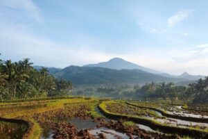 Desa: Ekologi, Ekonomi, dan Epistemologi (5)