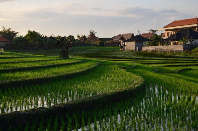 Desanisasi Kota