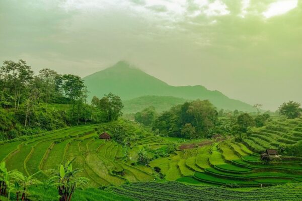 Hidup dari Desa, Belajar dari Alam: Perspektif Sosiologis tentang Konservasi dan Ketahanan Komunitas (3)