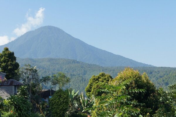 Penjajahan (dan) Ekologi