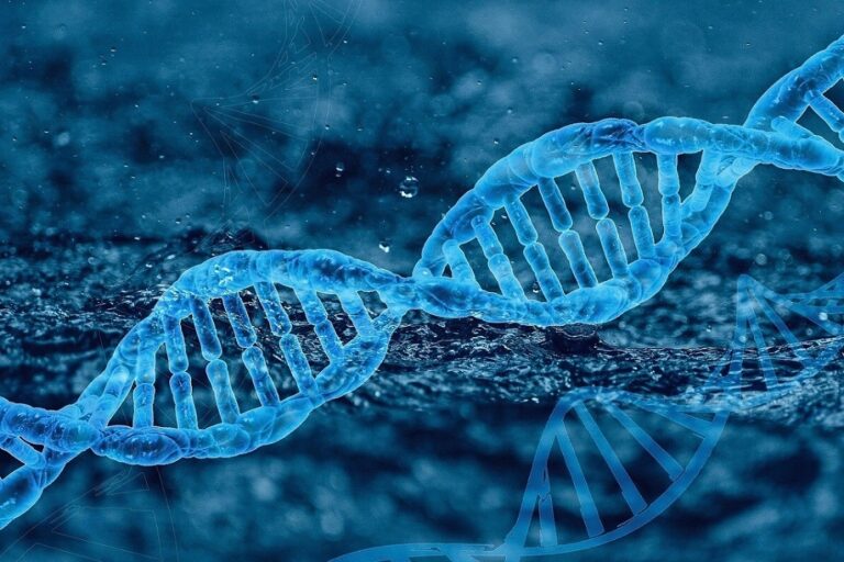 Berapa Lama DNA Dapat Bertahan?