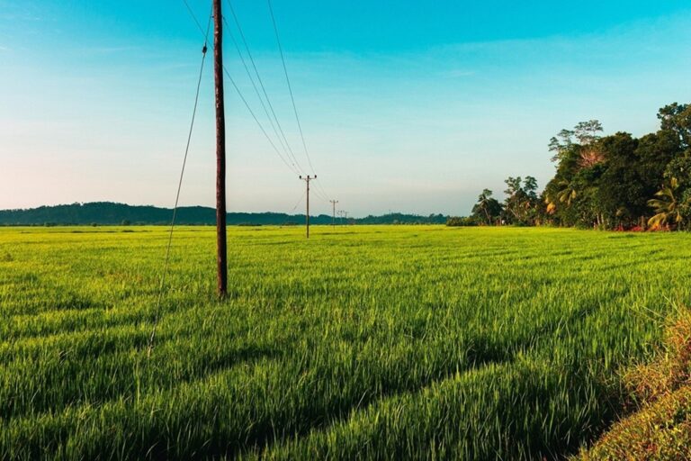 Basalt dan Solusi Sederhana Menangkap CO₂ di Lahan Pertanian