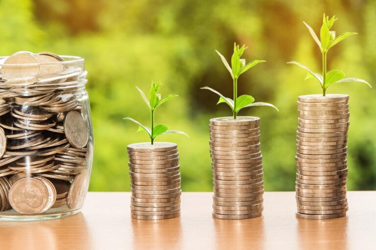 The Current Economic Situation