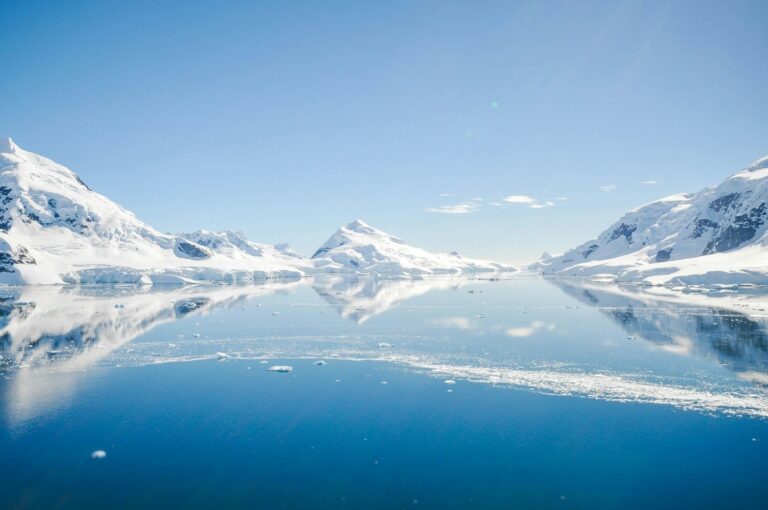 Pemanasan Global Buka Jalan Spesies Invasif Kuasai Antarktika?