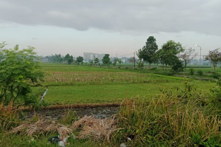 Berita Desa Hari Ini