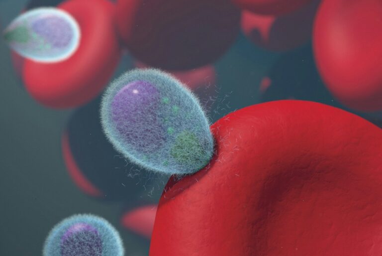 Protein “Kematian”, Diam-Diam Mengendalikan Penuaan Sel Darah?