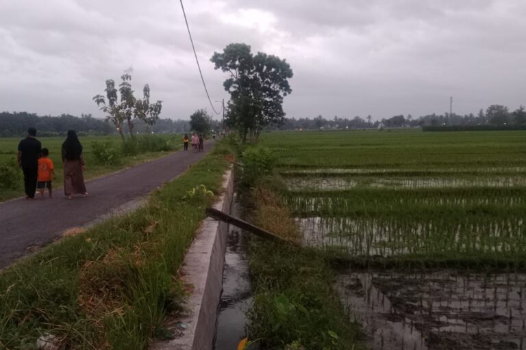 Berita Desa Hari Ini