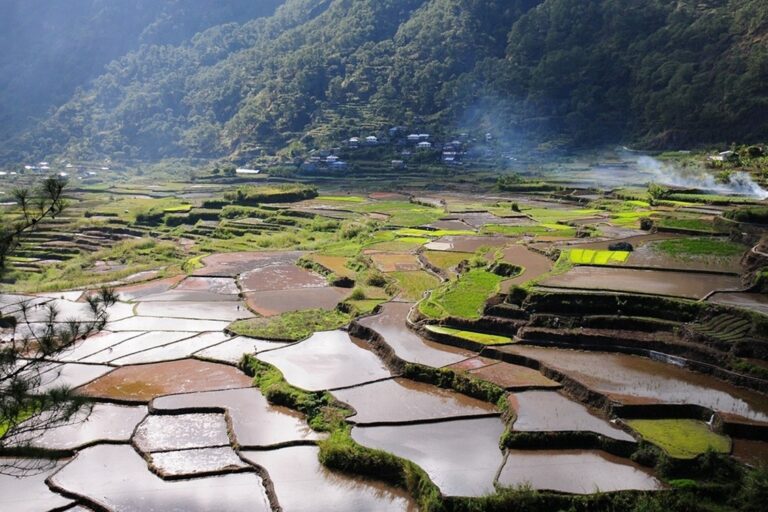 Ketahanan Pangan Asia Terancam Paska Perang