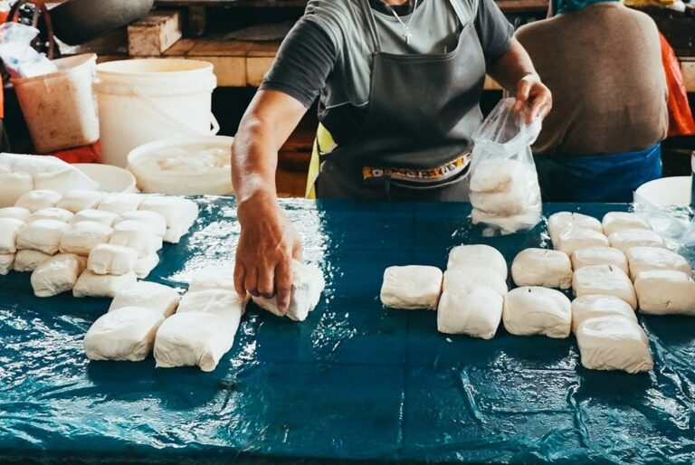 Limbah Tahu dan Keju Bisa Menjadi Penangkap CO2?