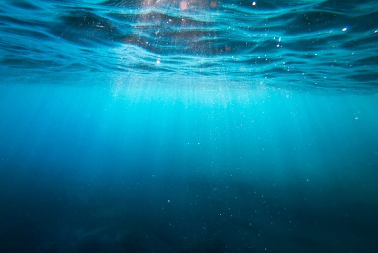 Oksigen di Laut dan Perairan Tawar Terus Menurun?