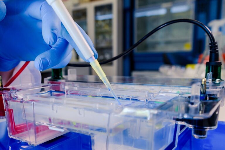 Apa itu Bioprinting?