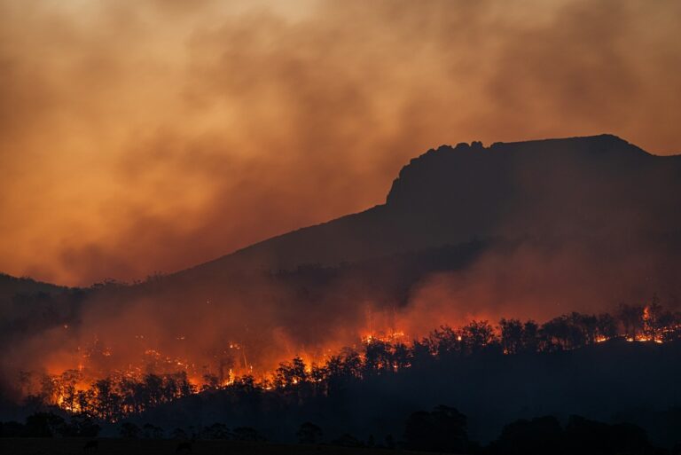 Kebakaran Hutan di Eropa Menjadi Begitu Dahsyat hingga Menciptakan Awan Badai Sendiri?